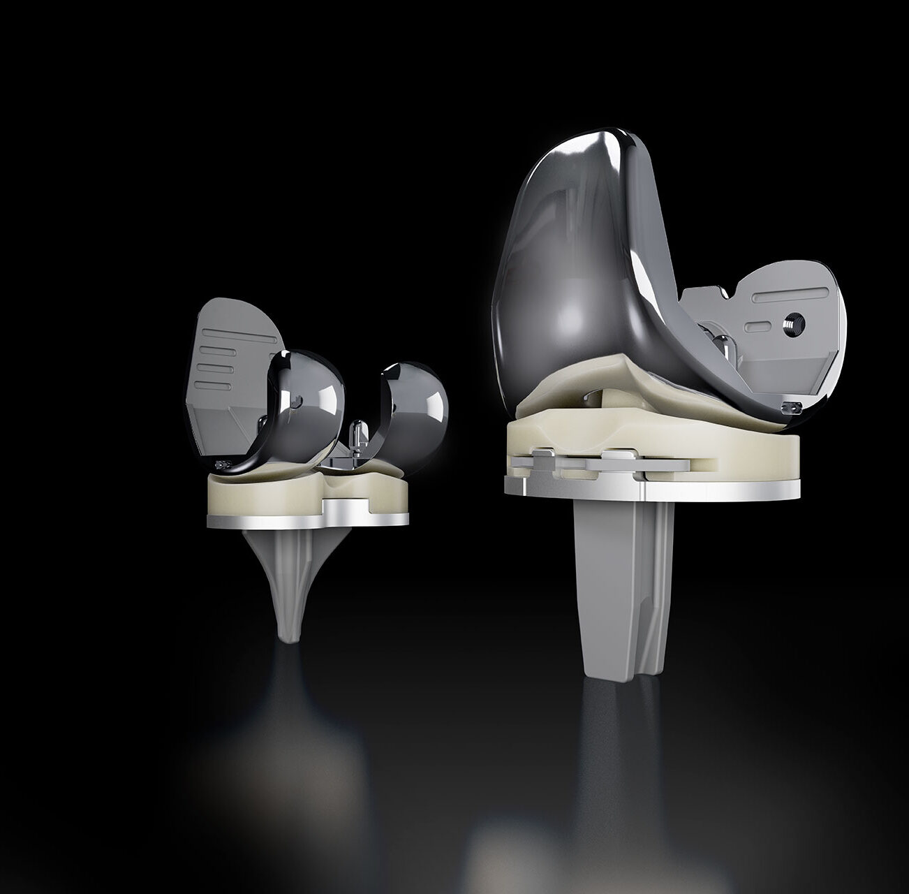 Advita Knee Triverse System