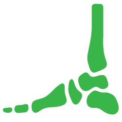 Advita Ortho Foot and Ankle icon