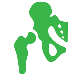 Advita Ortho Hip icon