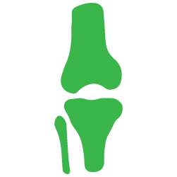 Advita Ortho Knee icon