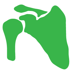 Advita Ortho Shoulder icon