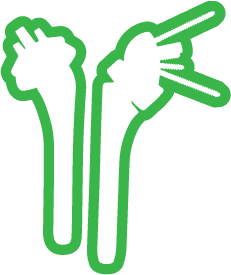 Predict+ Shoulder Outcome Predictor Anatomic VS. Reverse