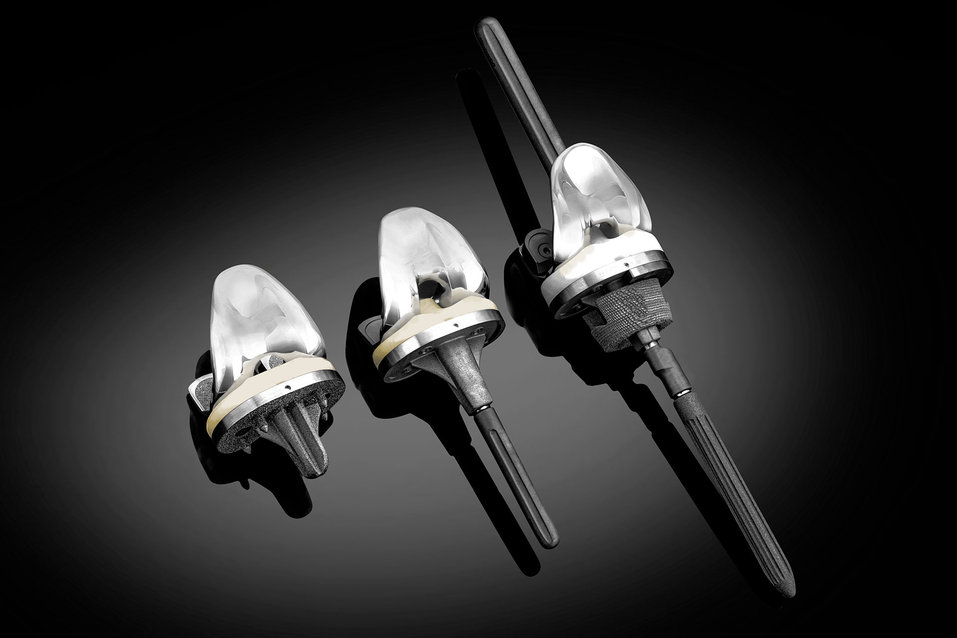 Truliant Primary and Revision Knee System