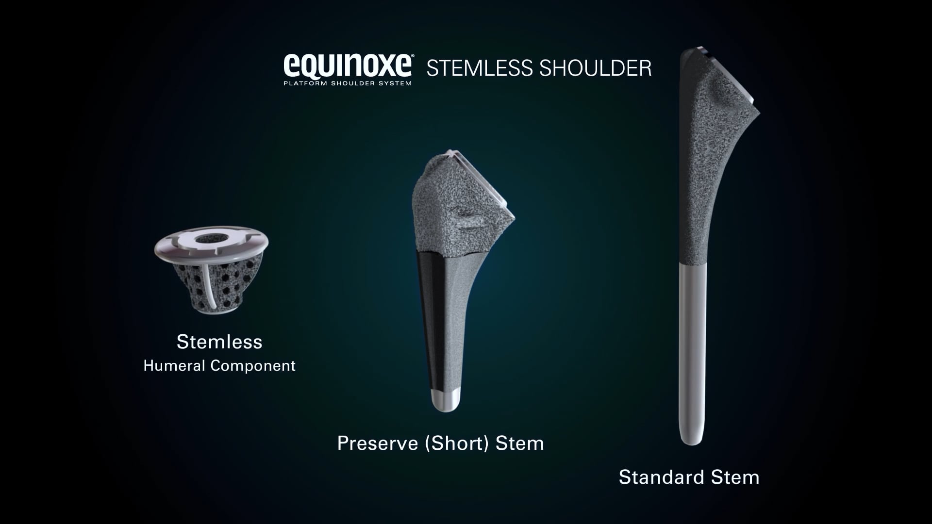 Equinoxe Stemless Shoulder Surgical Animation