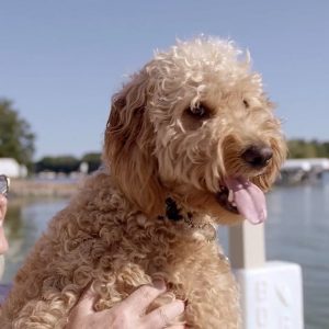 Julie, Advita Ortho Shoulder Replacement Patient Story