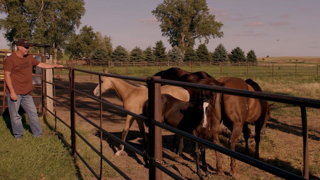 25-0000720_Rev_A_Advita_Ortho_Equinoxe_Shoulder_Patient_Testimonial_Bernie.mp4