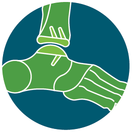foot and ankle icon