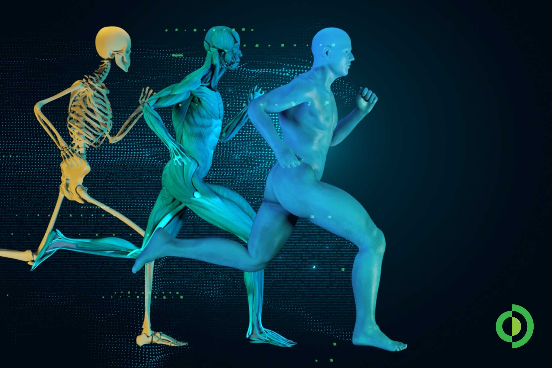 Advita Ortho presented 16 new research studies at the 2026 Orthopaedic Research Society (ORS) Annual Meeting