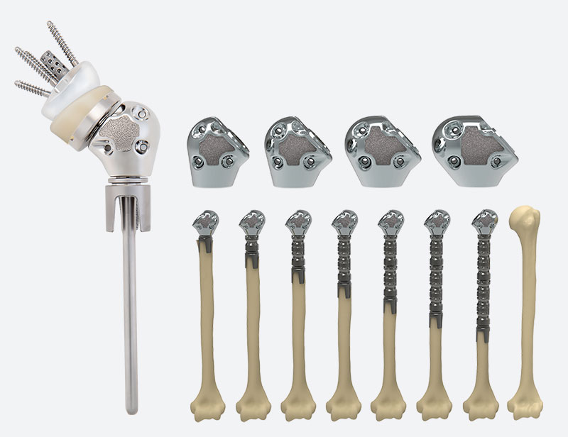 Advita Ortho Equinoxe Humeral Reconstruction Prosthesis
