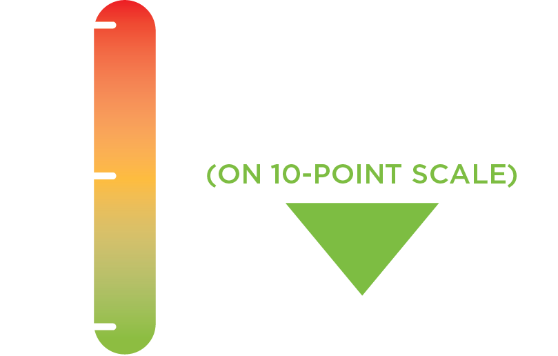 Advita Ortho Shoulder Daily Pain Scale